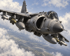 harrier